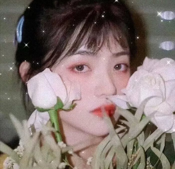 混凝土乌托邦